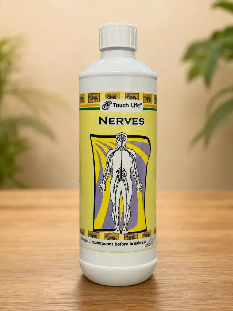 Nerves Front.webp