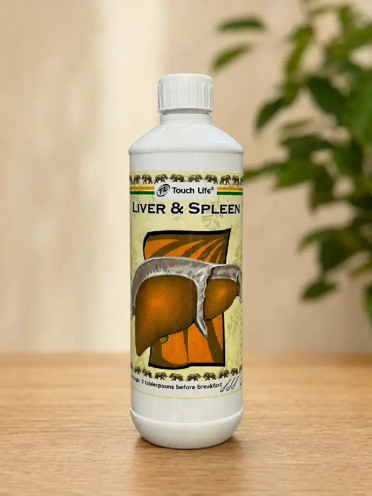 Liver & Spleen Front.webp
