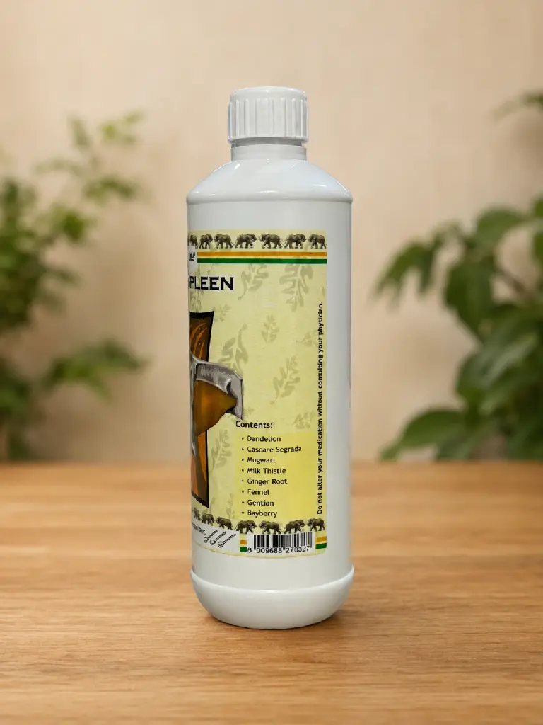 Liver & Spleen Right.webp