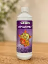 Epilepsy Front.webp