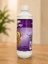 Epilepsy Right.webp
