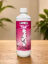 Pregnancy Tonic Front.webp