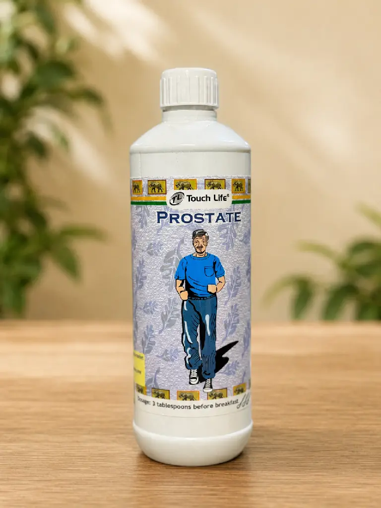 Prostate Front.webp