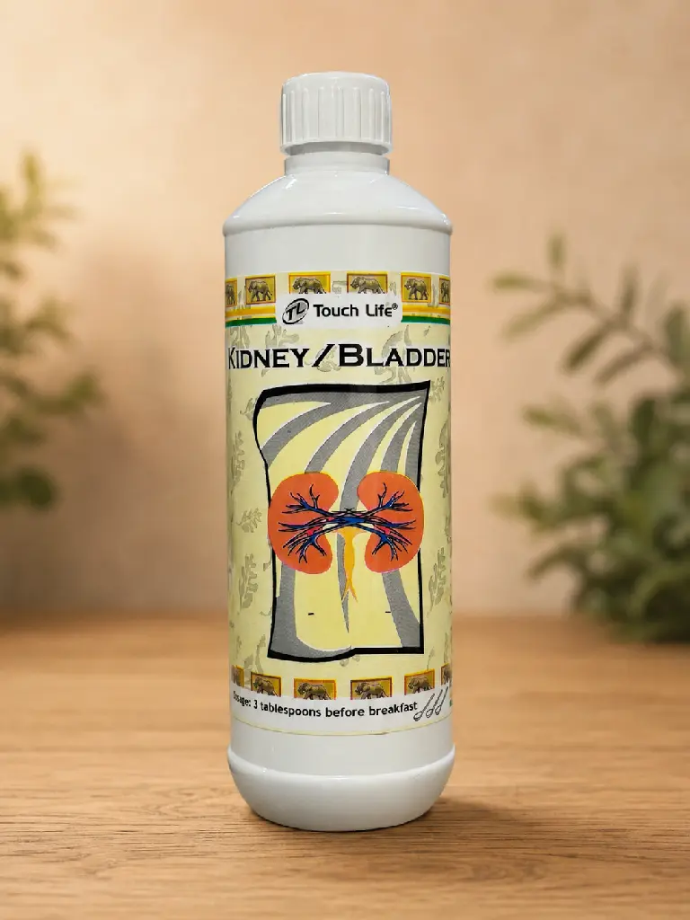 Kidney & Bladder Front.webp