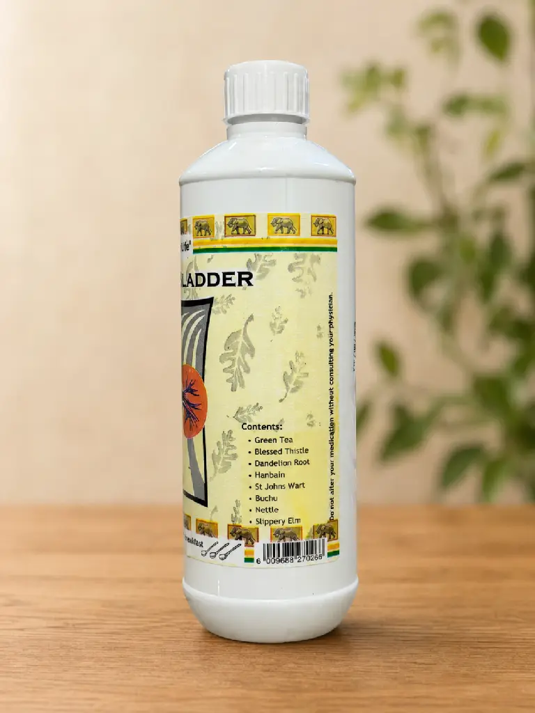Kidney & Bladder Right.webp
